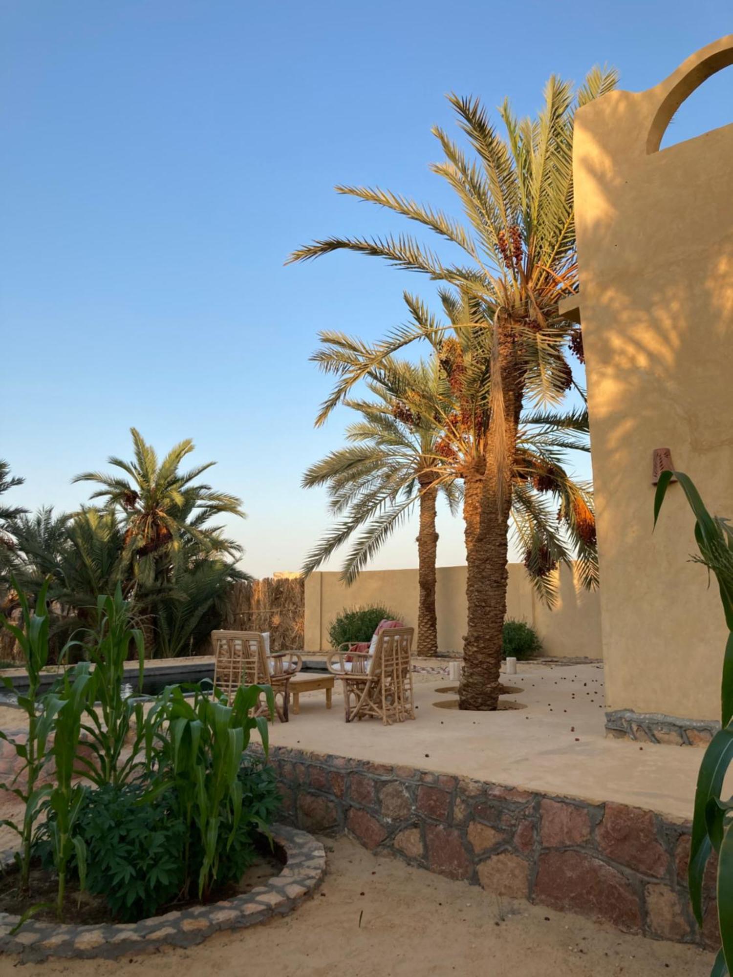 Wafla Villa Siwa Oasis Exterior foto