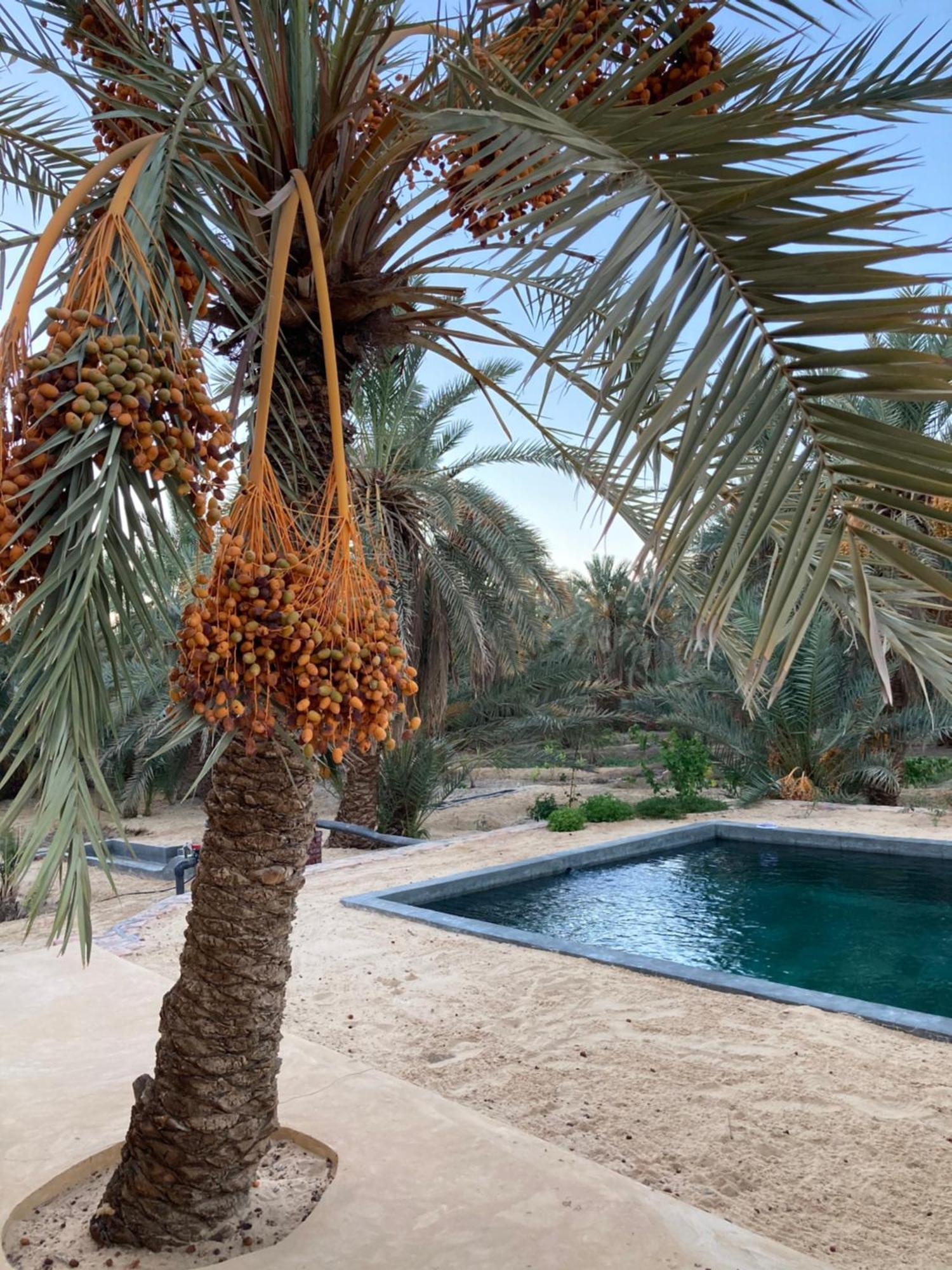 Wafla Villa Siwa Oasis Exterior foto